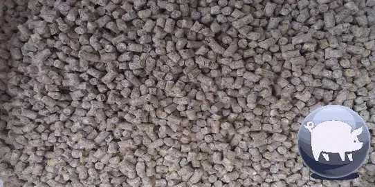 Комбикорм для свиней, БМВД Nuscience Цехаве Корм Purina (Пурина)