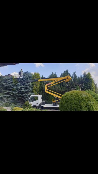 Uslugi ogrodnicze, koszenie trawy, ciecie zywopłotów, wycinka drzew