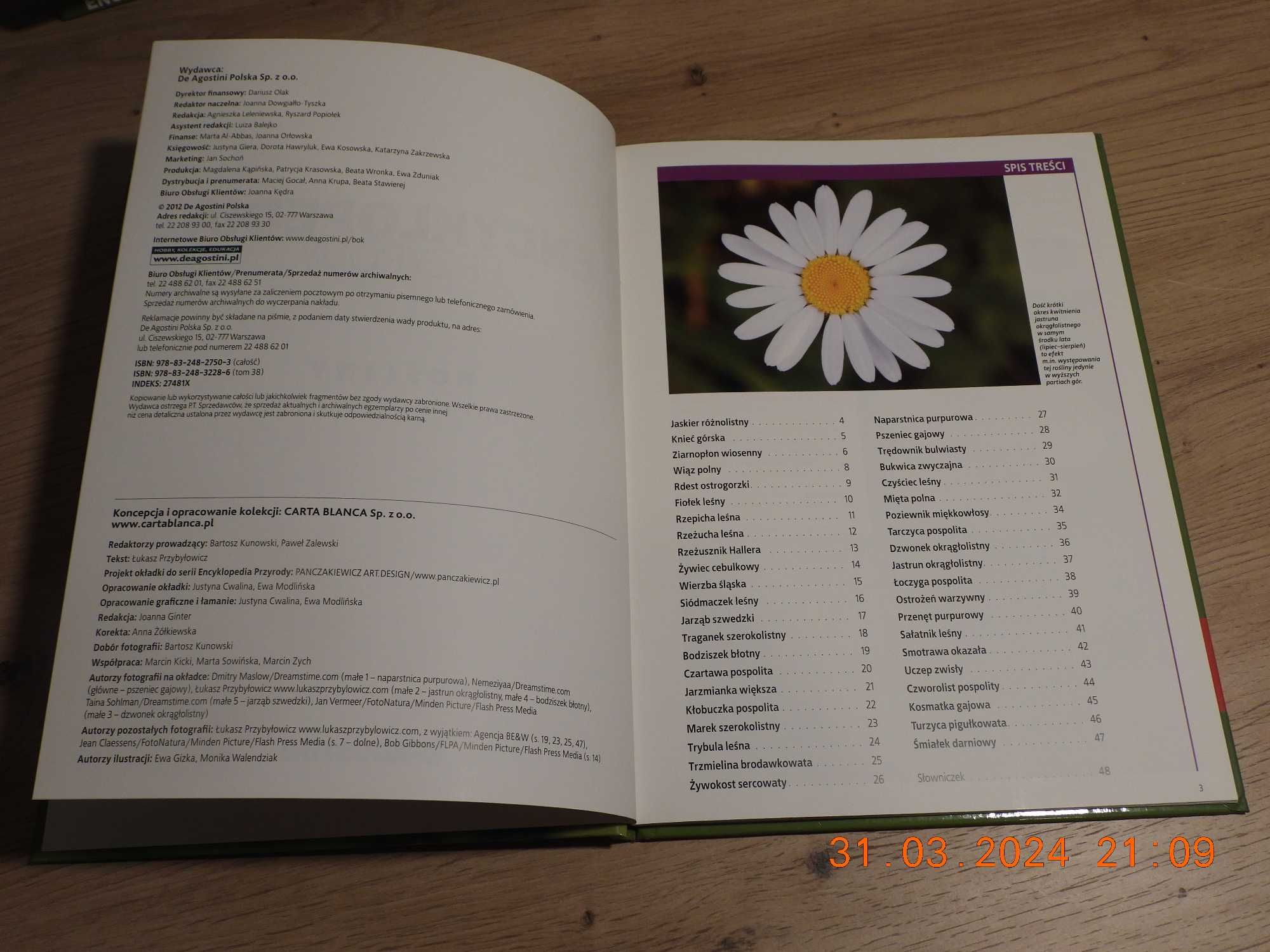 Encyklopedia Przyrody - Tom 38 -Rośliny -Krzewy i rośliny zielne -cz.3