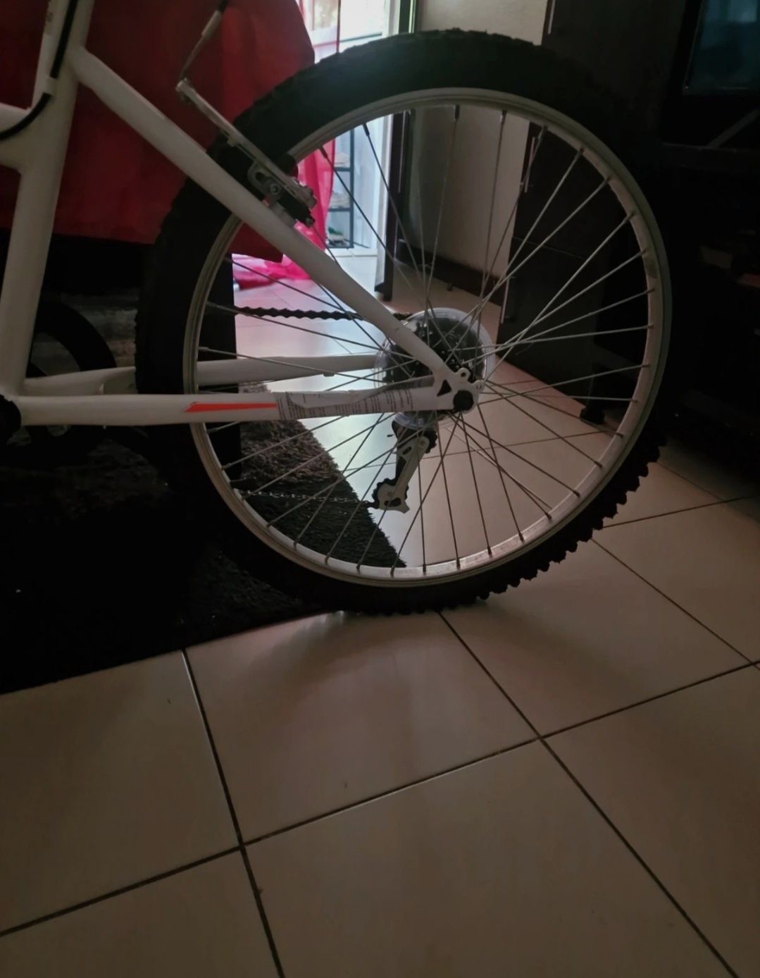 Bicicleta como nova criança