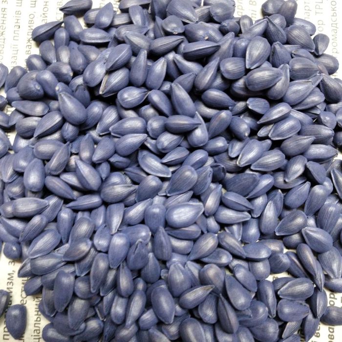 Насіння соняшника Неома