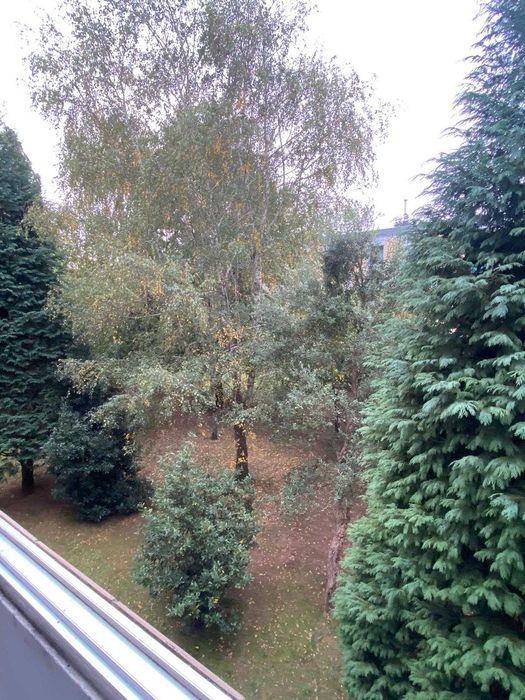 Alugo QUARTO (otima luz) Matosinhos (ao Hospital Pedro Hispano)