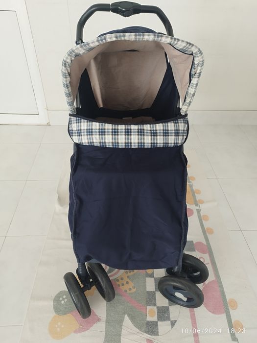 Carinho de passeio e cadeira auto.