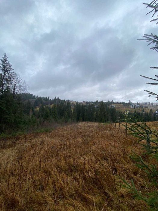 Продаж земельної ділянки в с.Яблуниця