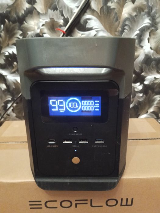 Eco flow delta mini