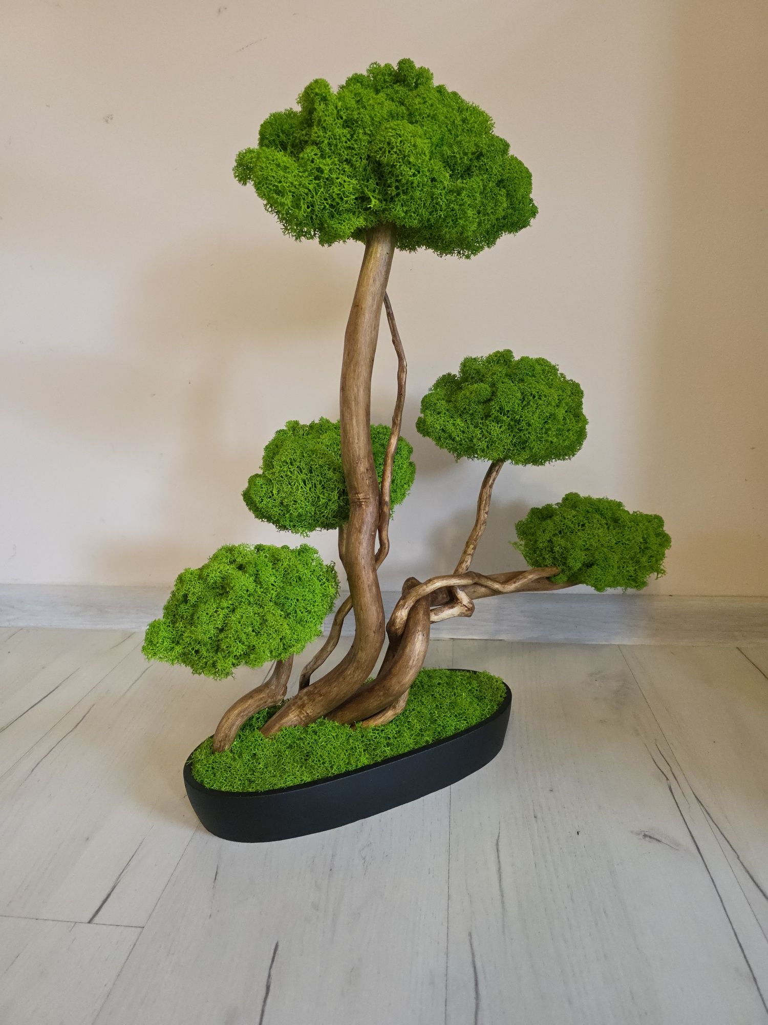 Drzewko bonsai Duże 50 cm.Mech Chrobotek. Dekoracje wnętrz. Prezent .