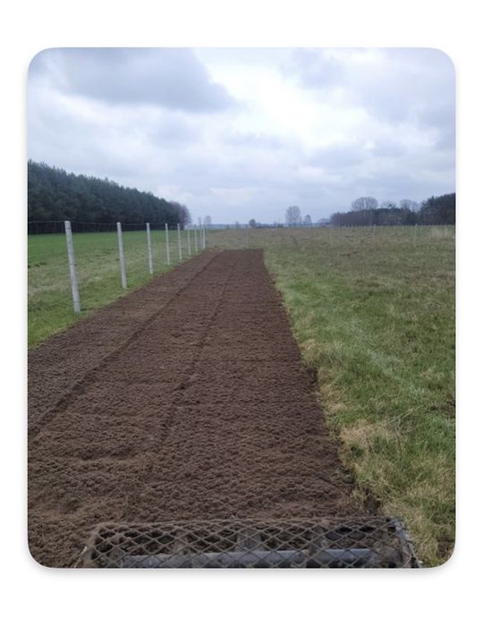 Glebogryzarka SEPARACYJNA wynajem