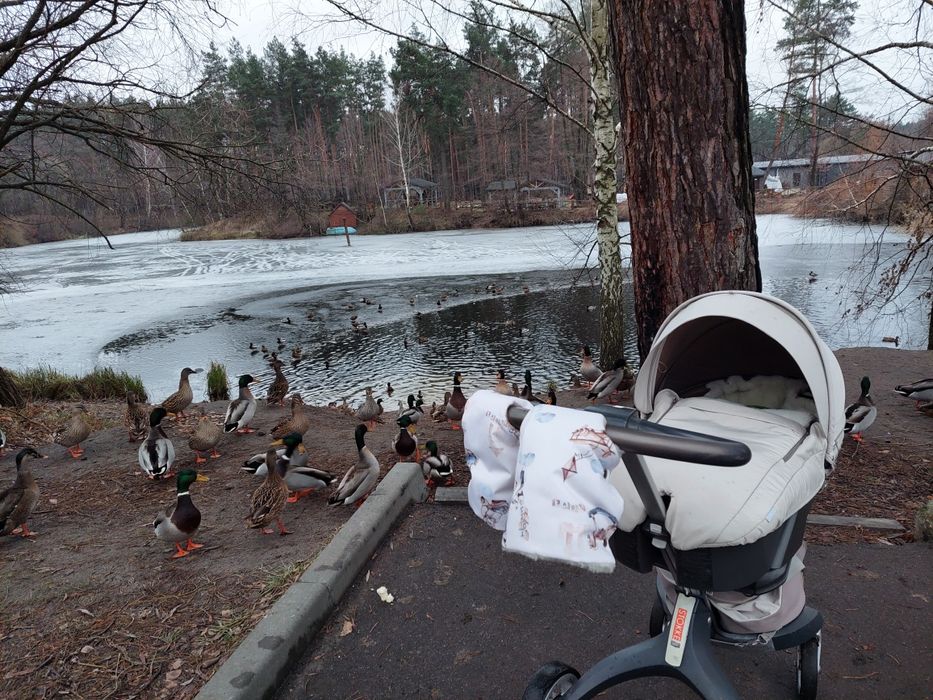 Візочок 2в 1 Stokke