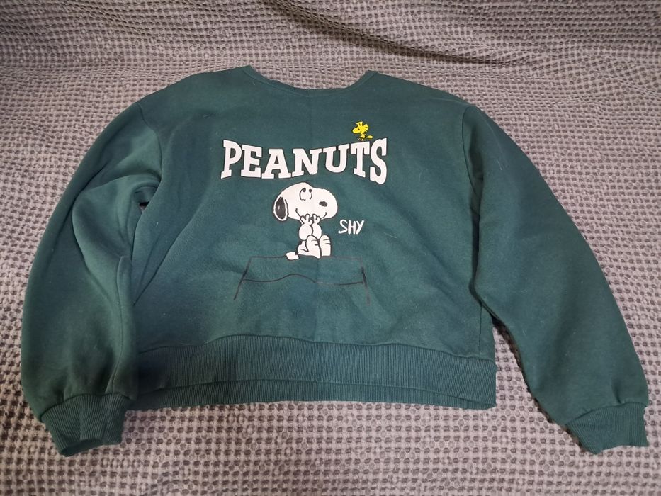 Між сезонний світшот