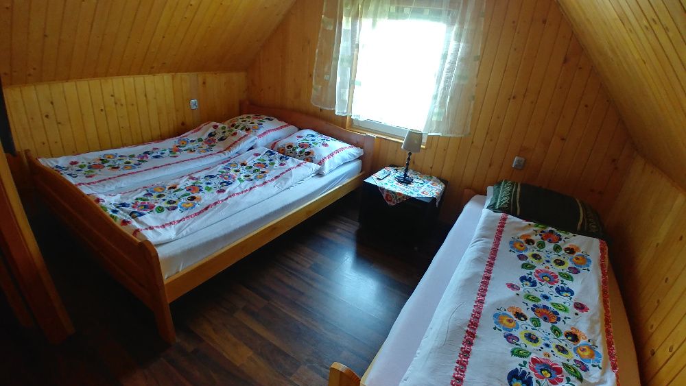 Promocyjne Letnie Noclegi w Górach, Ośrodek Wypoczynkowy IGOR, Klima