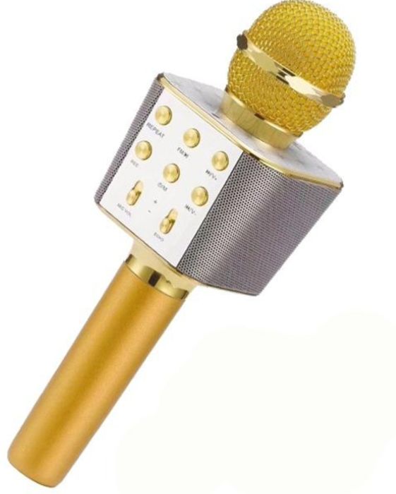 Бездротовий мікрофон WSTER WS-1688.