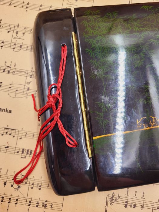 Stary album na zdjęcia wykonany z laki