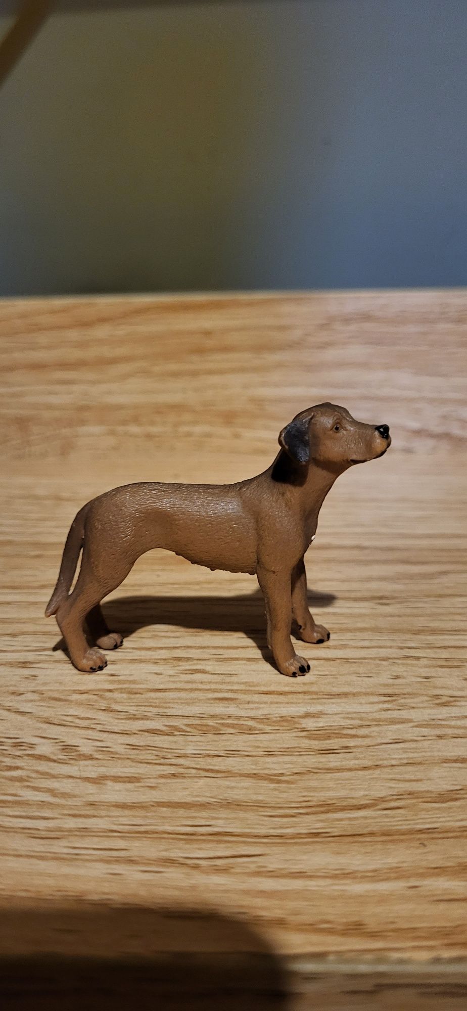 Schleich pies rhodesian ridgeback figurki model z 2019 r.