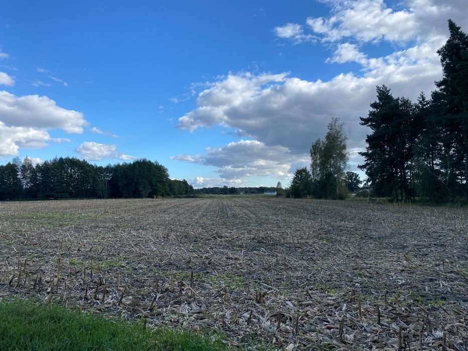 Sprzedam grunt rolny / ziemia rolna 3,4158 ha Danowiec, powiat kaliski