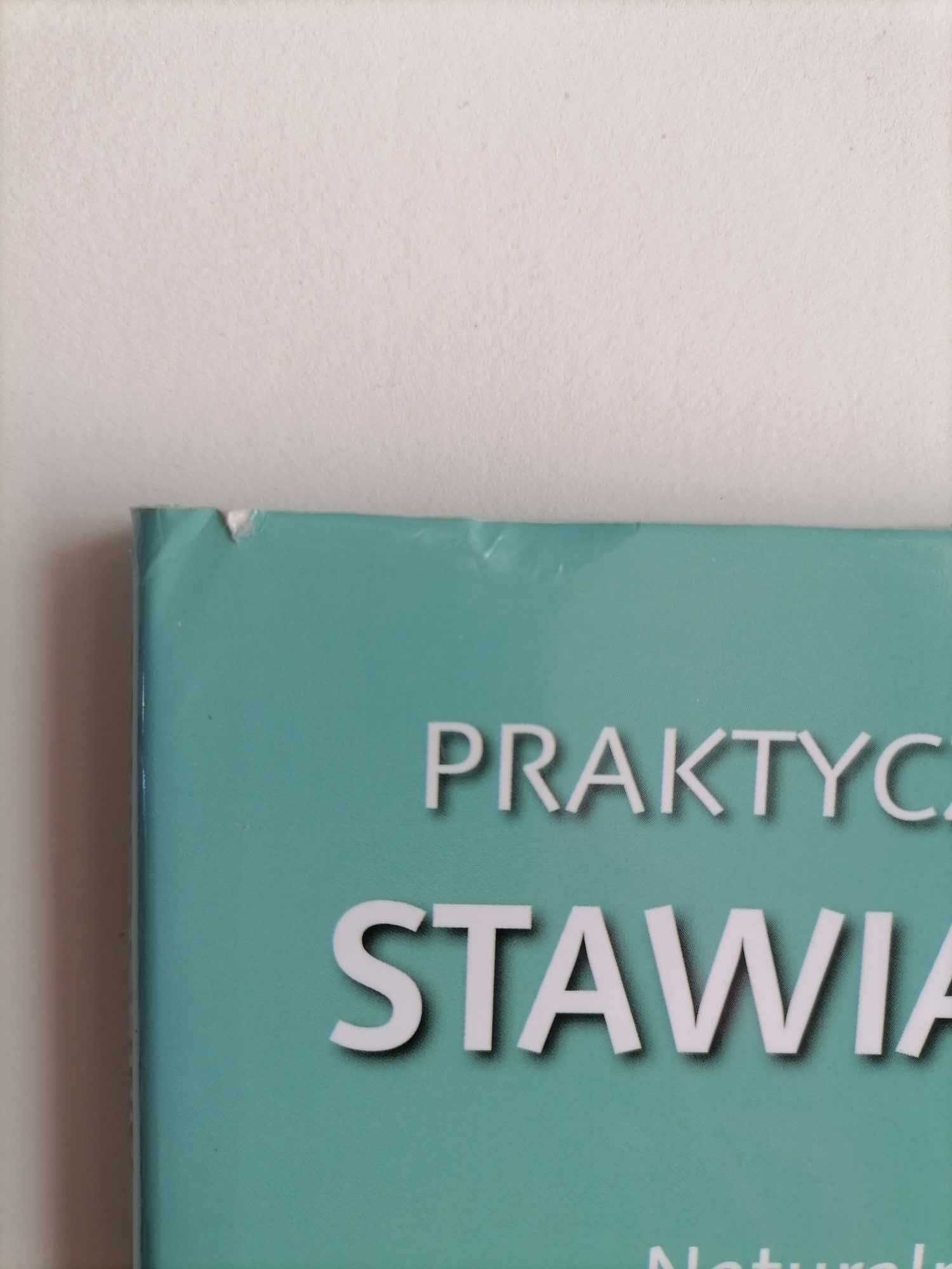 Praktyczny przewodnik stawianie baniek. Wu Zhongchao