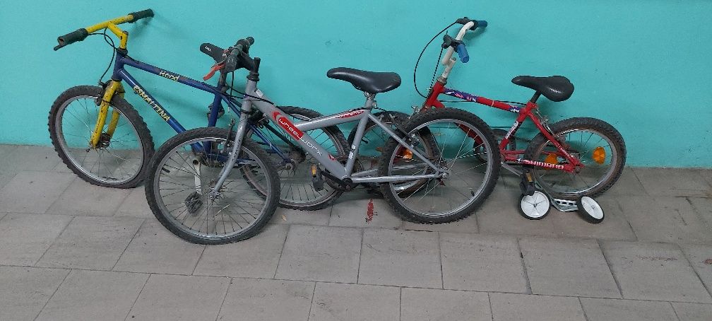 Bicicletas de vários tamanhos