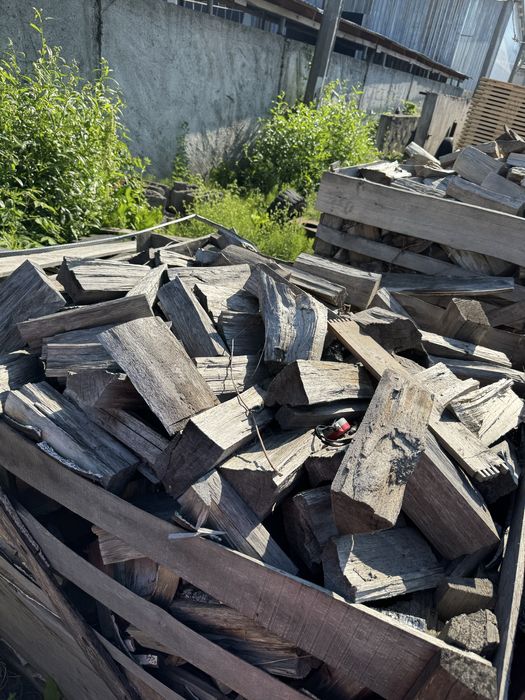 Дрова колоті (тополя)