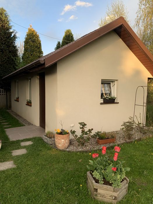 Wiślinka – domek 32 m² z antresolą na wynajem długoterminowy.