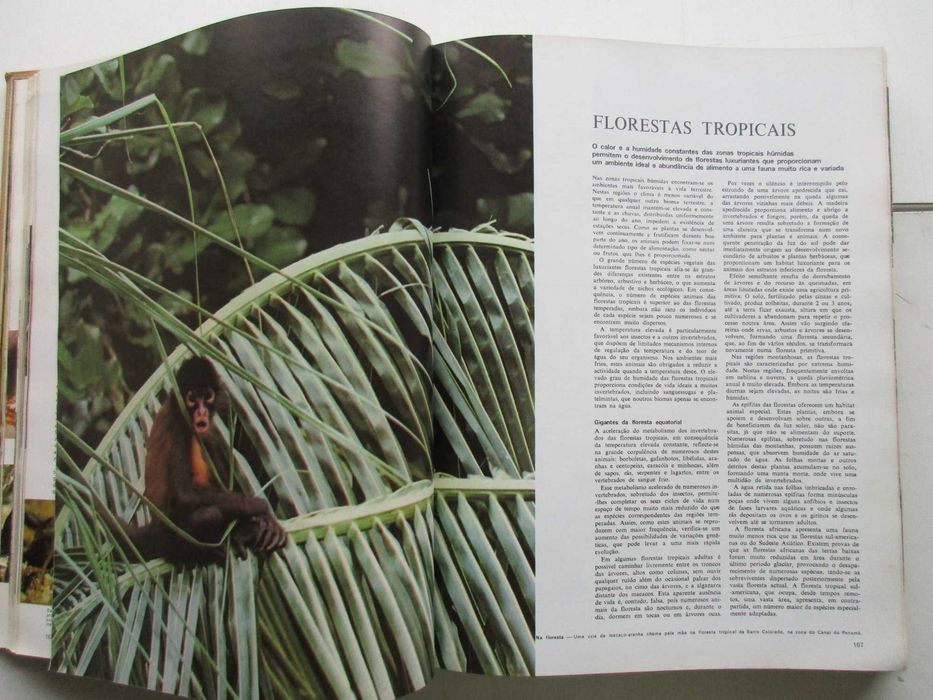 Animais da Terra - - - - - Enciclopédia