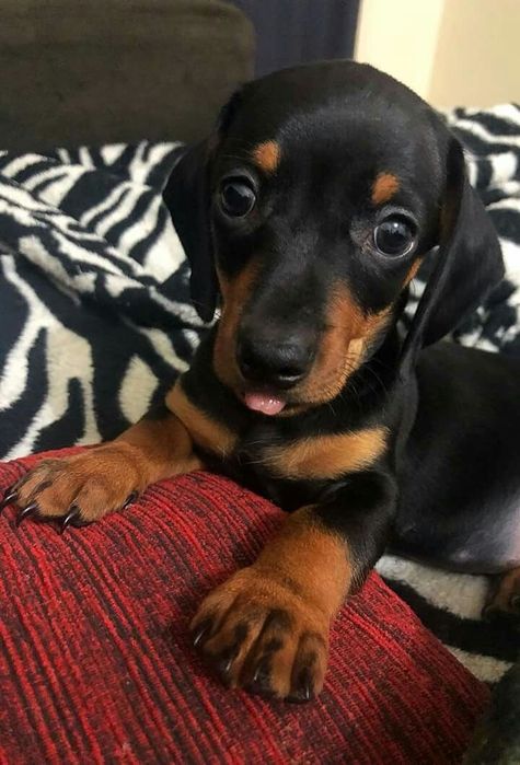 Маленькі чемпіони з великим серцем!