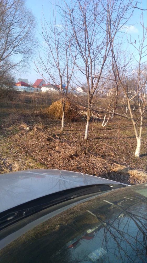 Земельна ділянка