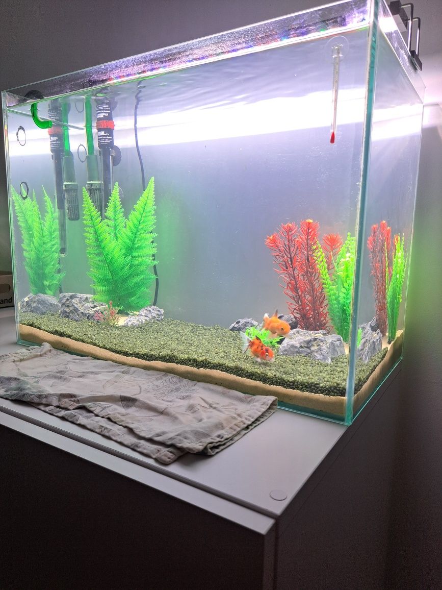 Aquário 75 litros, termostato e plantas artificais