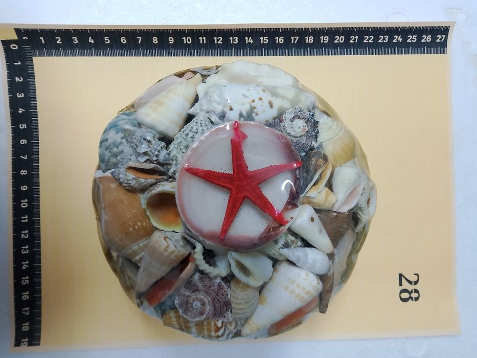 Muszle komplet (muszelki)