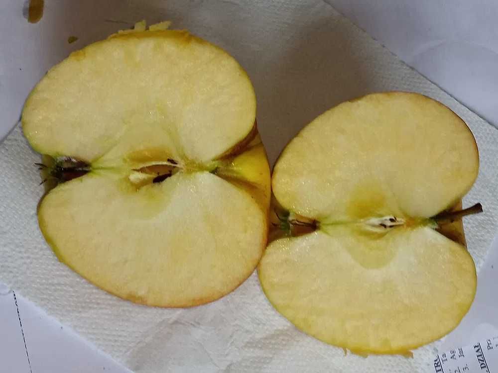 Jabłka różne odmiany