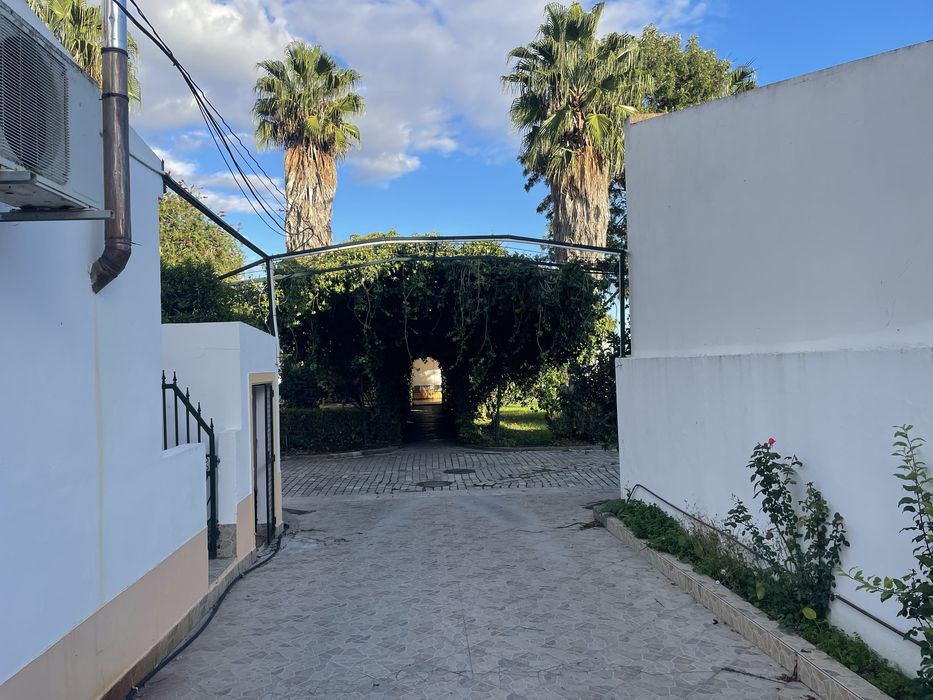 Quarta para Arrendamento, Quinta tranquila