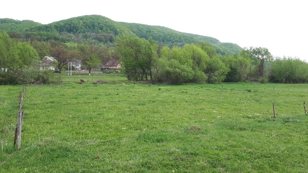 Продається земельна ділянка с.Терново