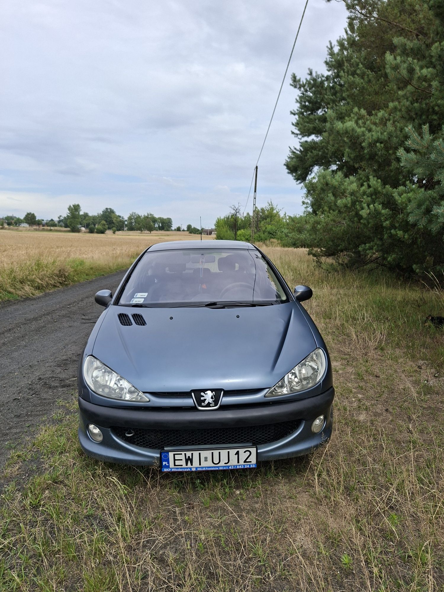 Peugeot 206 1.4 benzyna 2005 r