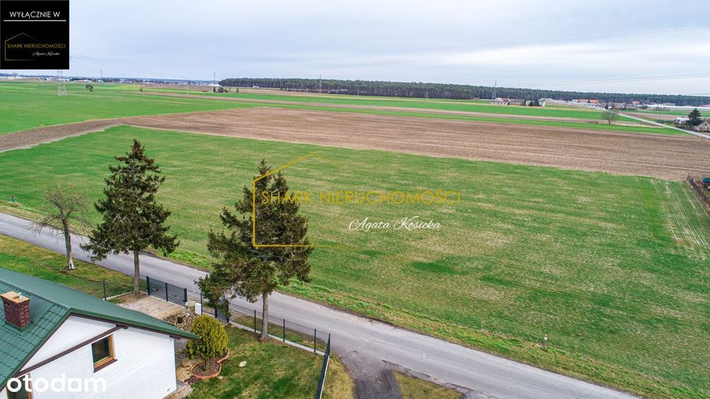 Działka budowlana -5km od ekspresówki A5 ->Steszew