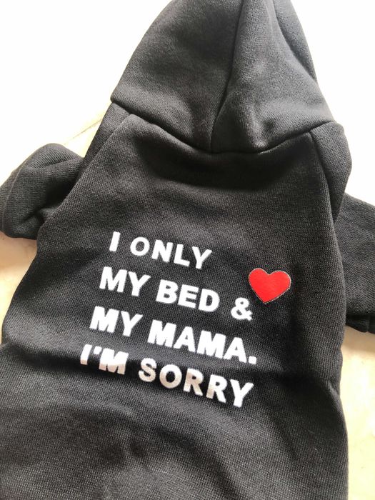 Moletom animal estimação