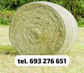Baloty z siana 120zł/szt. ~430 kg