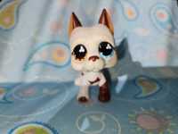 Littlest Pet Shop LPS biały DOG niemiecki #577 oryginalny