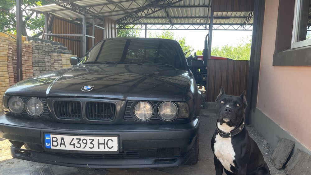 Продам BMW E34 M50B20 TУ