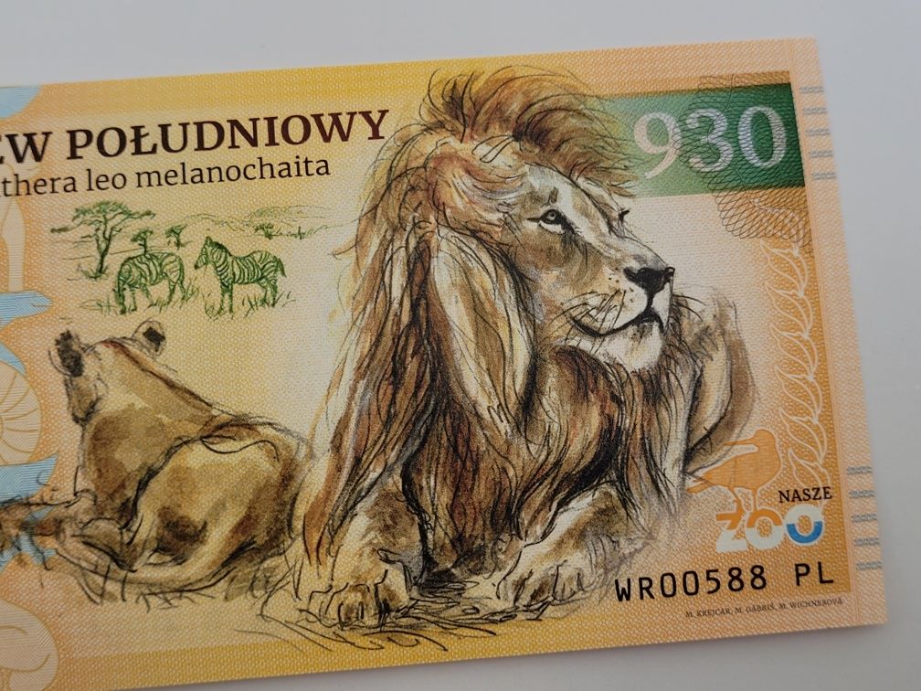 Zoolar - banknot kolekcjonerski Zoo Wrocław - lew południowy Nowość