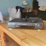 Magnetovid  Panasonic  NV-HD 636