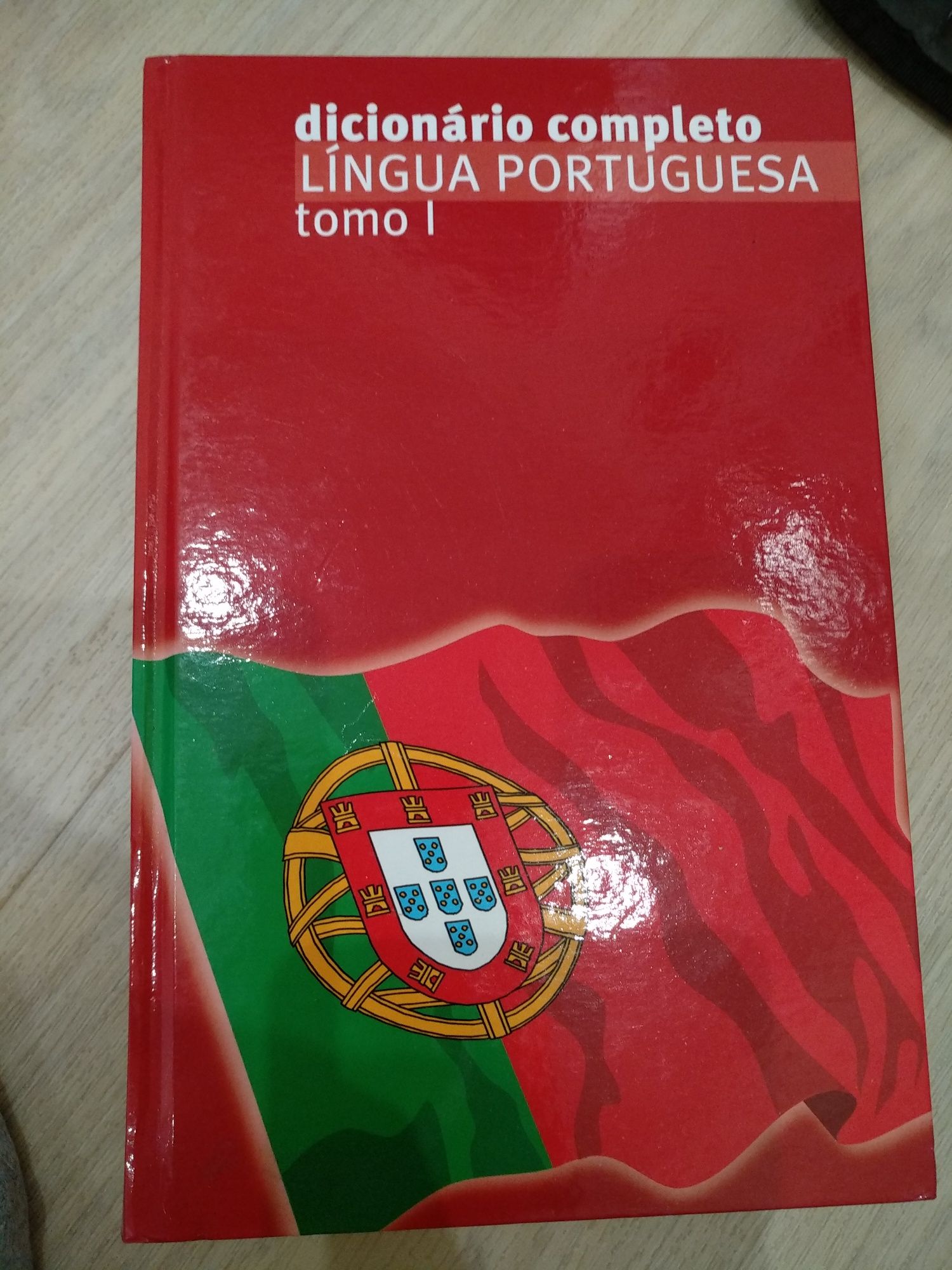 Dicionários Língua Portuguesa 2 Volumes