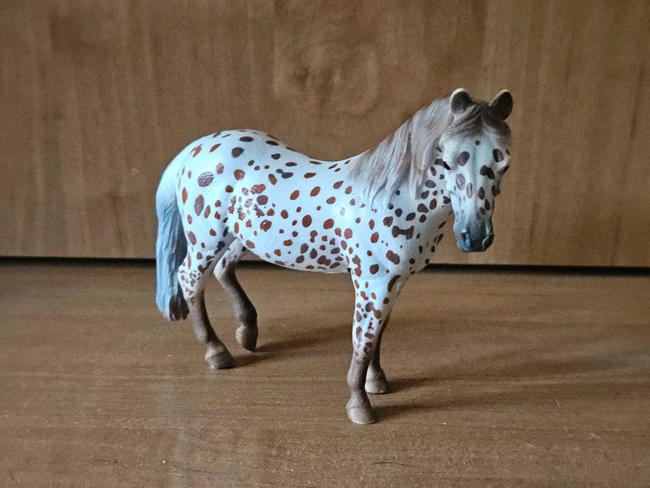 Klacz British Spotted Pony maści kasztan Leopard XL Collecta