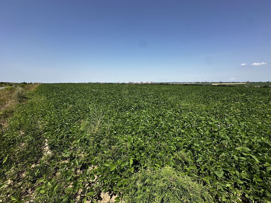 Продаж ділянки. Перша лінія біля басейну Shum