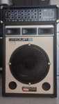 coluna 15" Group 400 e mesa Peavey XR500