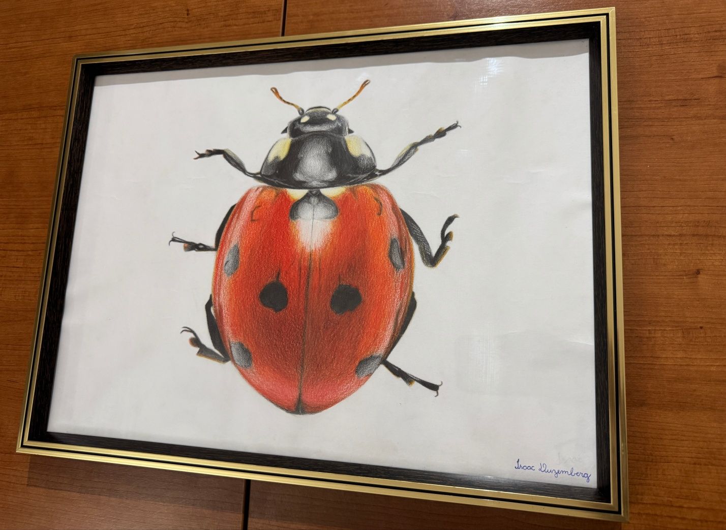 Quadro com desenho realista de joaninha para decoração - folha A3