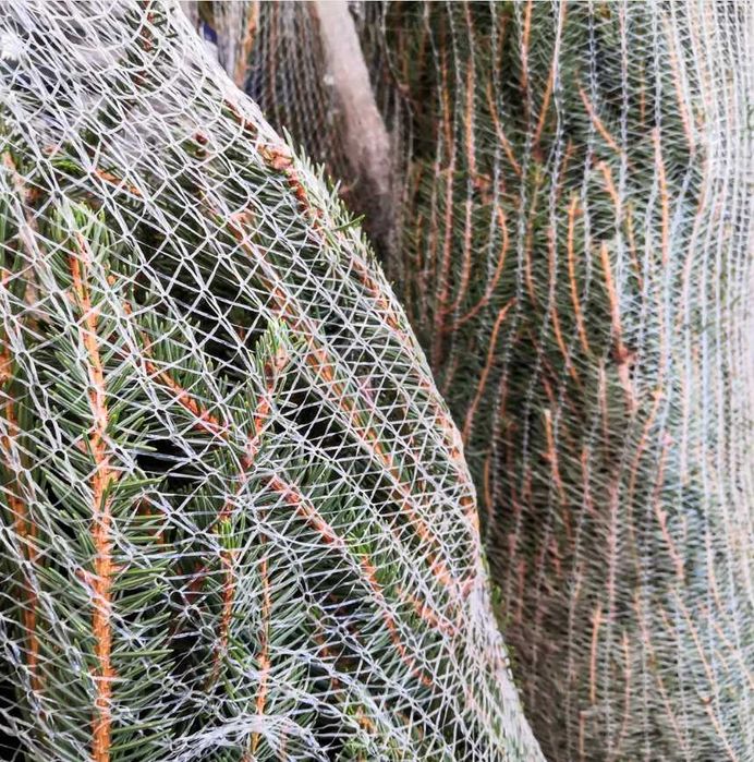 ‼️Сітка для пакування ялинок та сосен Timberten LZ 55