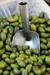 Azeite e azeitonas - BIO OLIVES & OIL