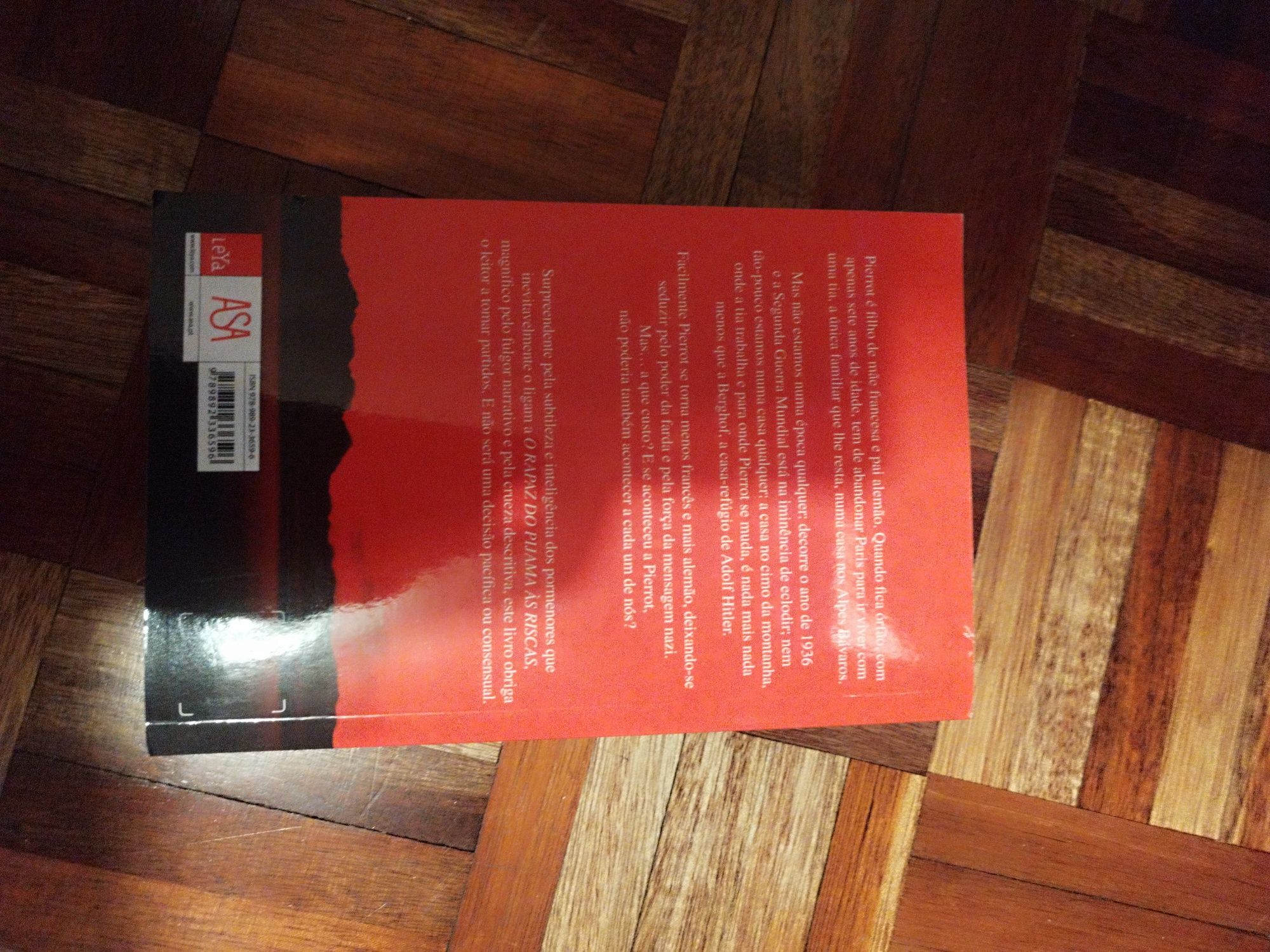 Livro " o Rapaz no Cimo da Montanha"