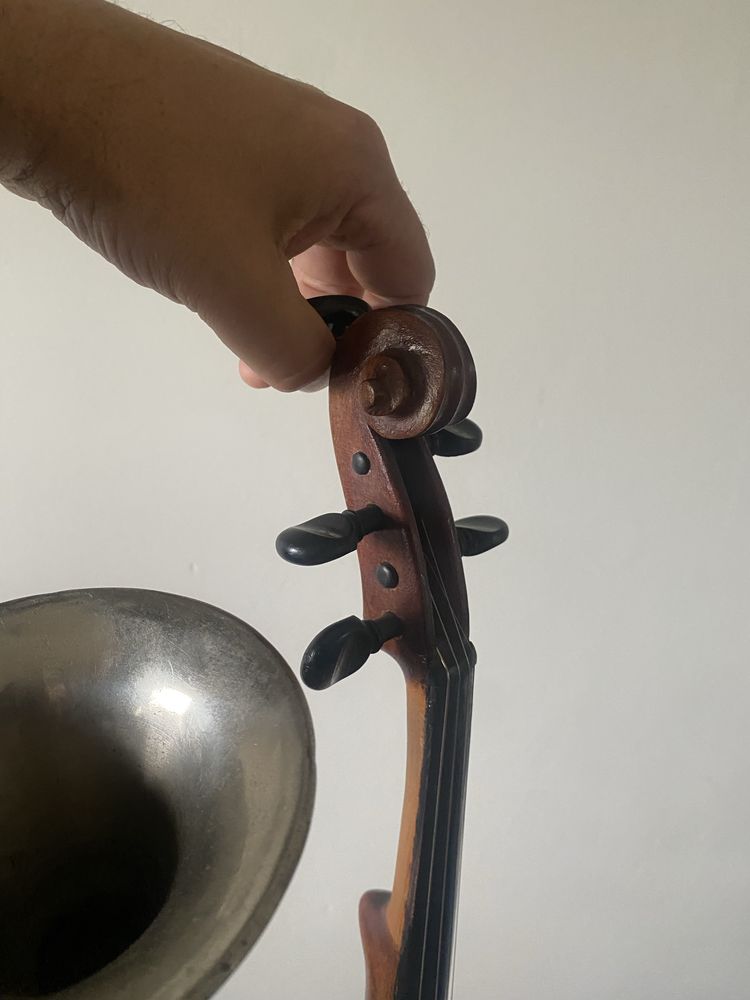 Skrzypcotrąba jazzowe skrzypce strocha vioara trumpet violin