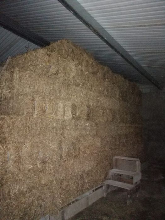 Fardos de palha de Trigo e Aveia