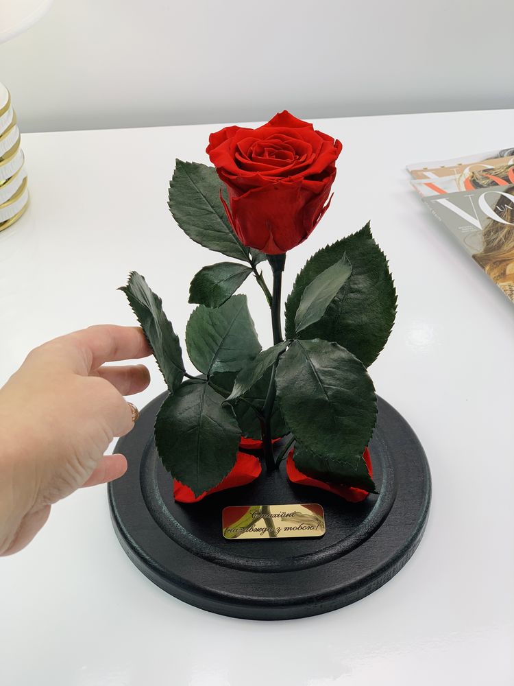 Справжня натуральна Троянда в колбі / Роза в колбе. Виробник Lerosh
