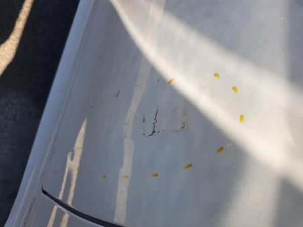 Porta frente direita MERCEDES-BENZ Classe E (W212)